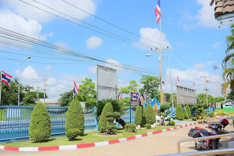 News Image 2