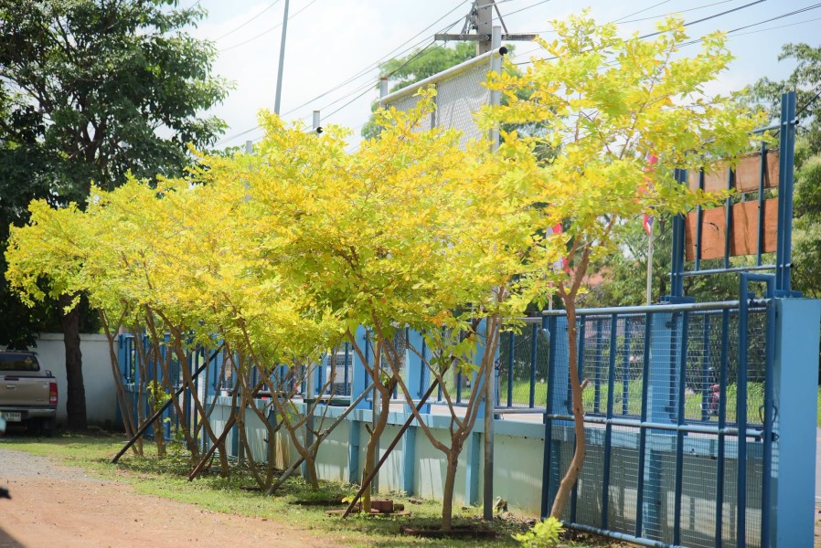 News Image 3