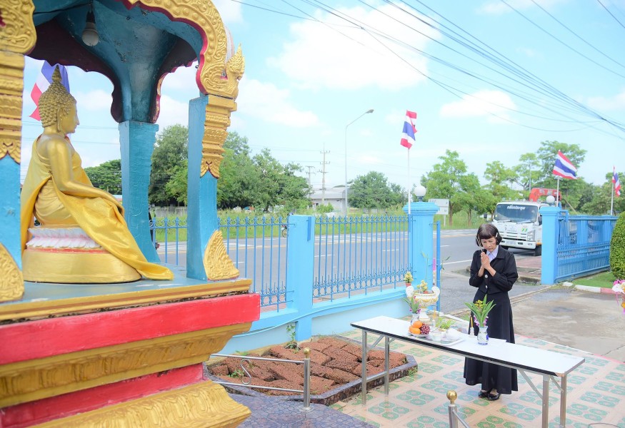 News Image 3