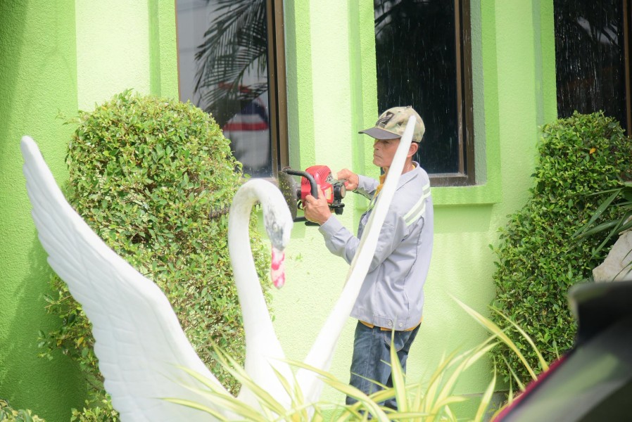 News Image 4