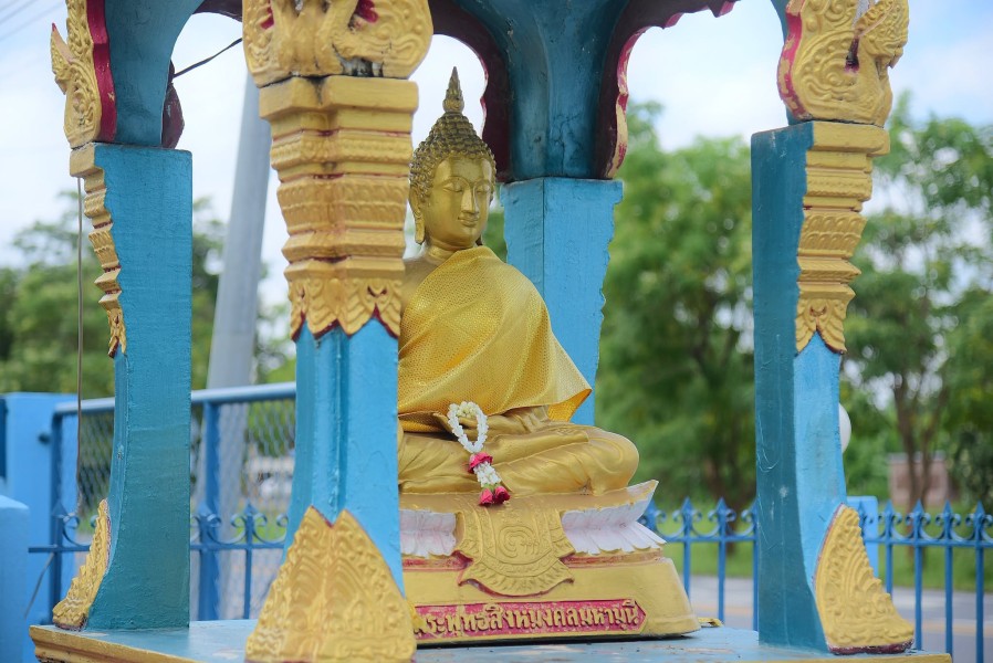 News Image 5
